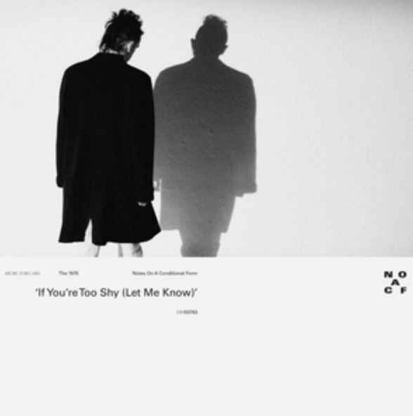 The 1975 - If You’re Too Shy (Let Me Know)