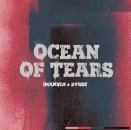 Imanbek & Dvbbs - Ocean of Tears