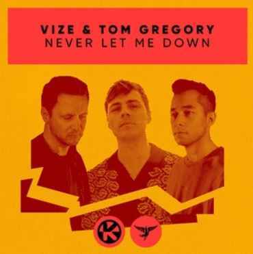 VIZE & Tom Gregory - Never Let Me Down