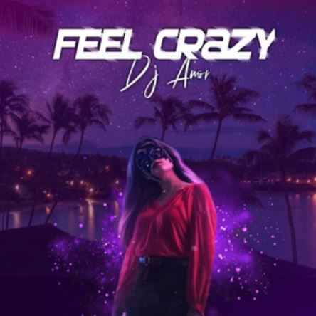 Dj Amor - Feel Crazy