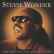 Stevie Wonder - Master Blaster (Jammin')