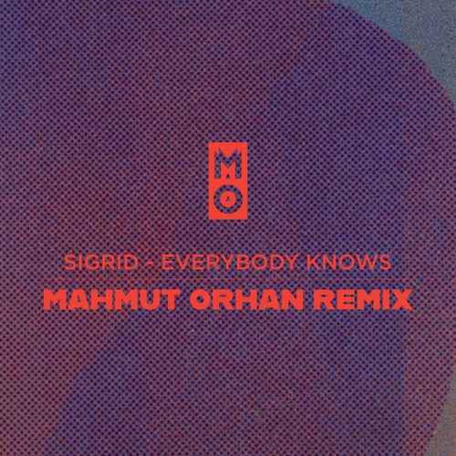 Mahmut Orhan - Everybody Knows (Remix)