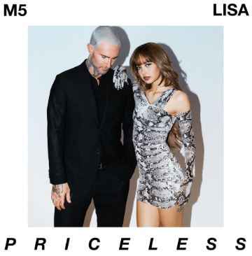 Maroon 5 - Priceless