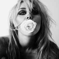 MILEY - Bass Persuades